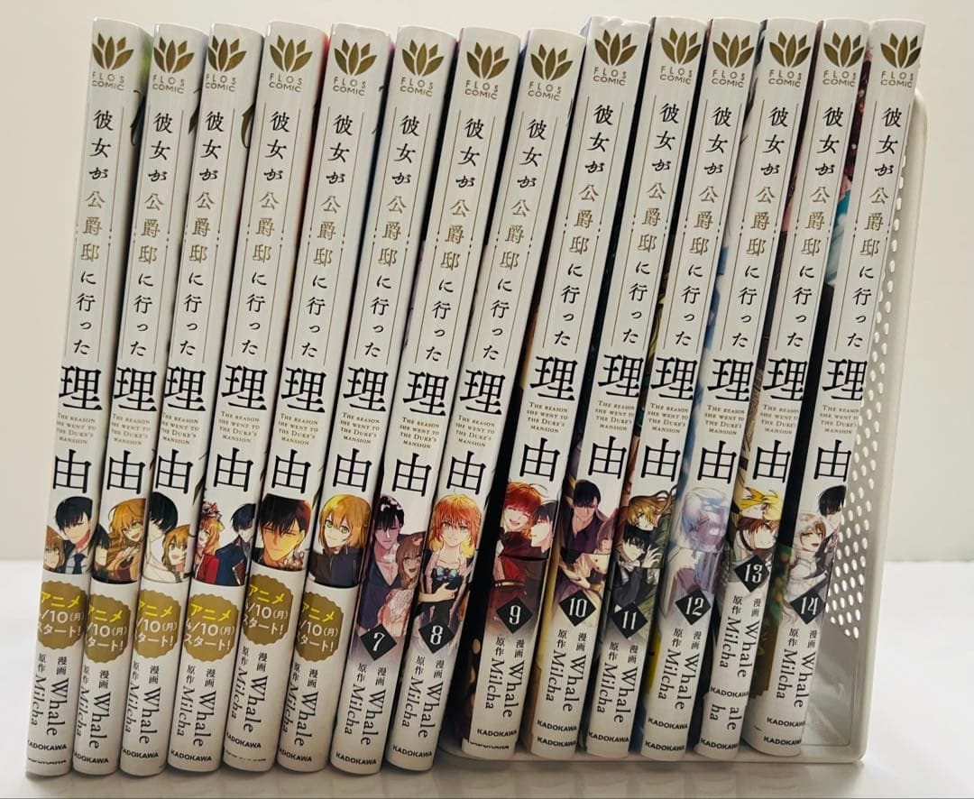 彼女が公爵邸に行った理由　1〜14巻セット