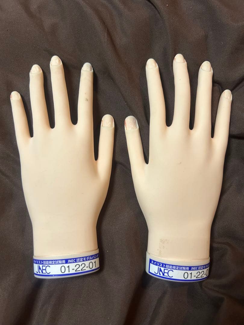 JNEC認定 STモデルハンド練習用マネキン 両手・骨折なし