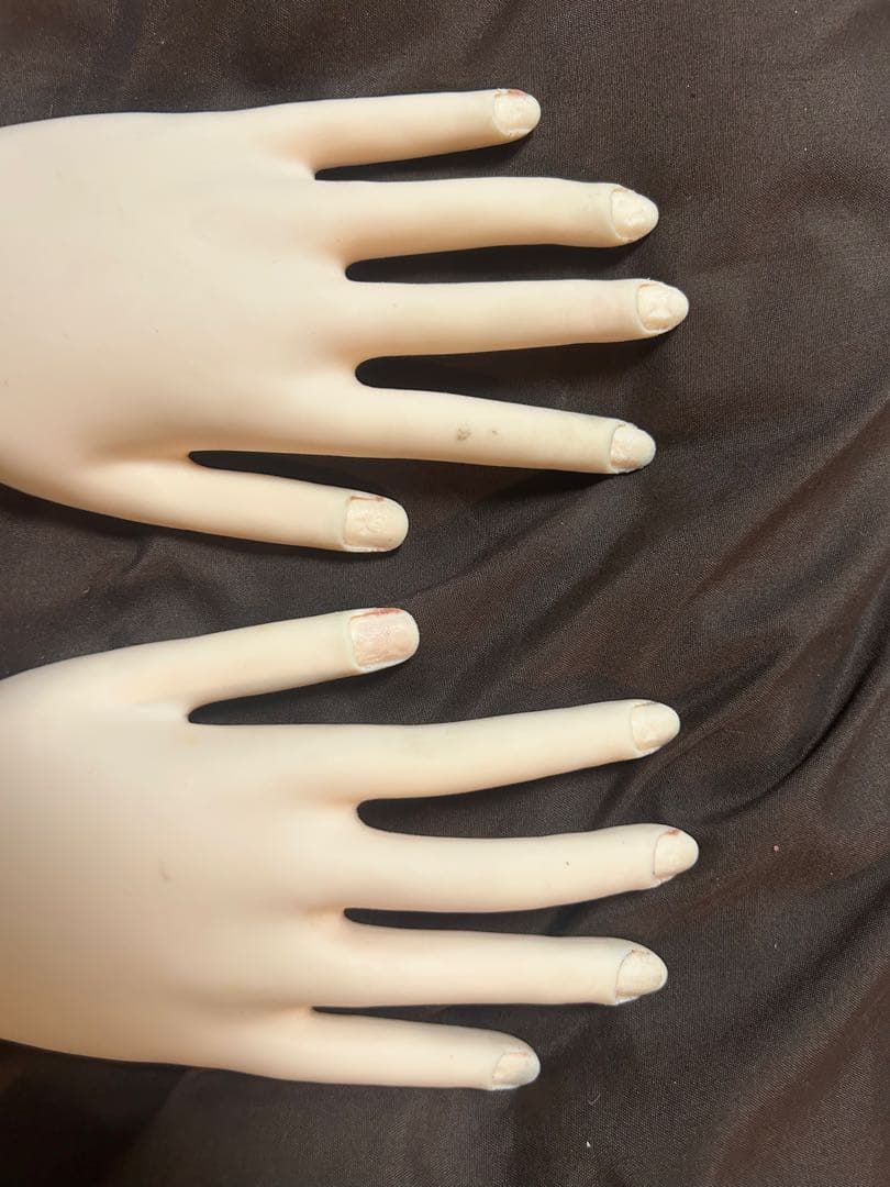 JNEC認定 STモデルハンド練習用マネキン 両手・骨折なし