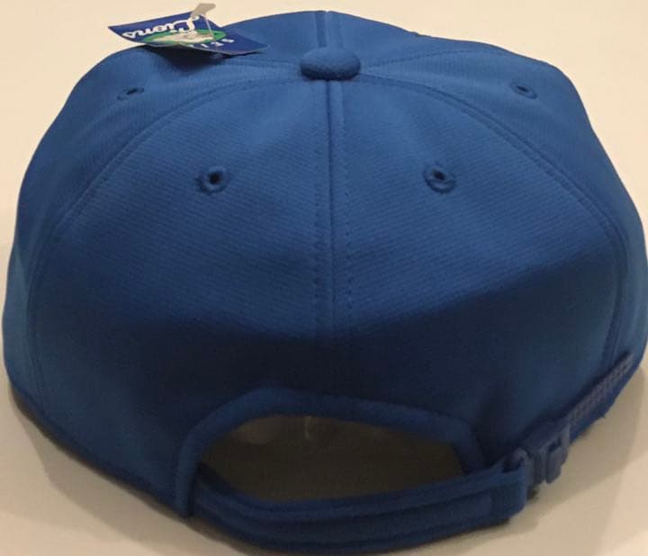 埼玉　西武　ライオンズ　松坂大輔　18 直筆　サイン　キャップ　帽子　プロ　野球