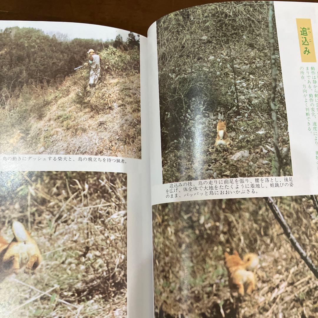 訓練法　初公開　柴犬のスパルタ教育　神崎長三郎著　（株）狩猟界社