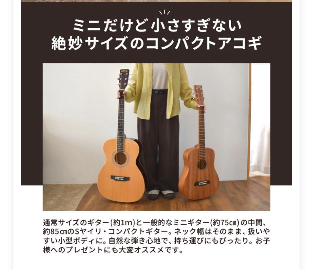 ヤイリ ミニアコースティックギター S.Yairi YM-02/NTL