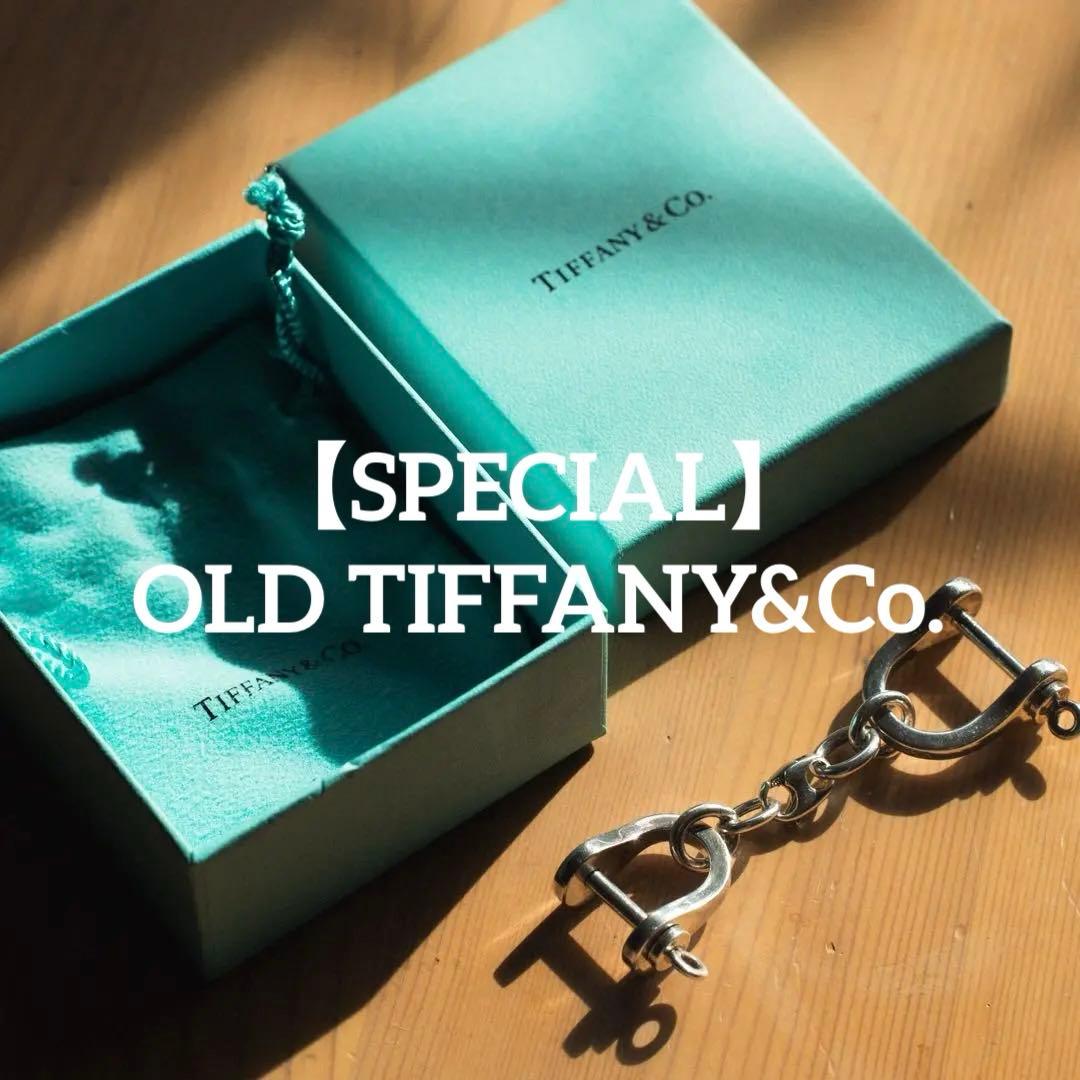【OLD TIFFANY&Co.】 オールドティファニー　ダブルシャックル