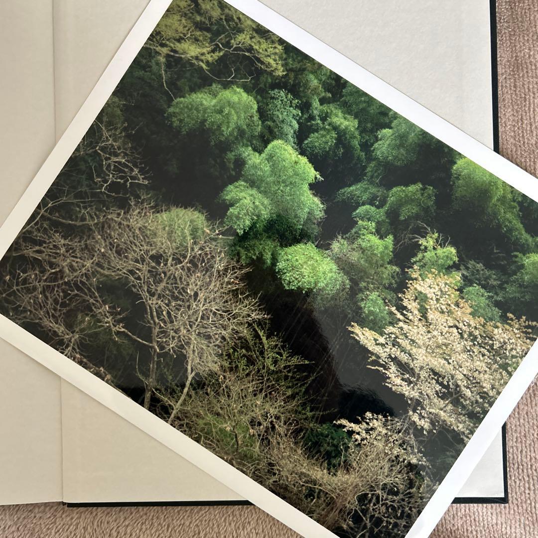 Lana C. Emery Yuka and the Forest プリント付き