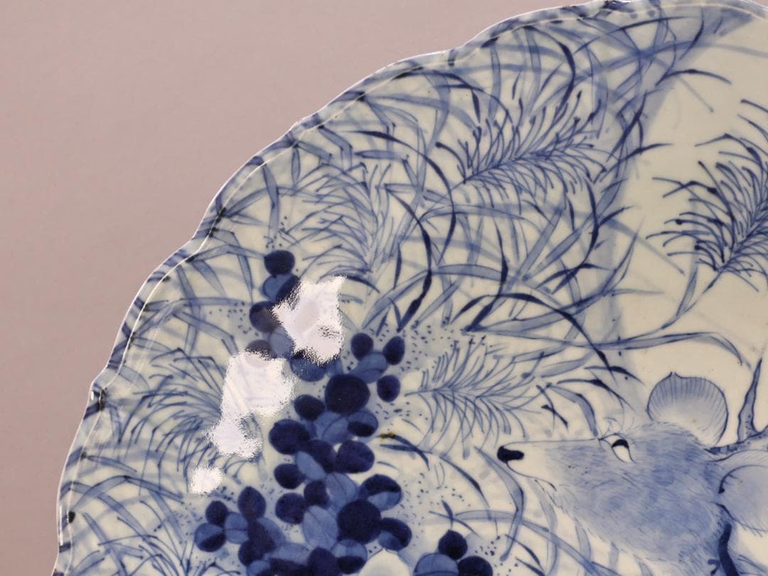 BK265　江戸期　古伊万里　古染付鹿文　大皿　49㎝　二重角福　1尺6寸