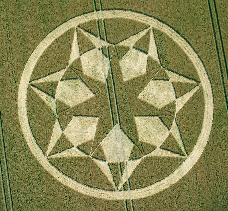 【予約品】#244 クロップサークルエッセンス　コルテPHI　フラワーエッセンス