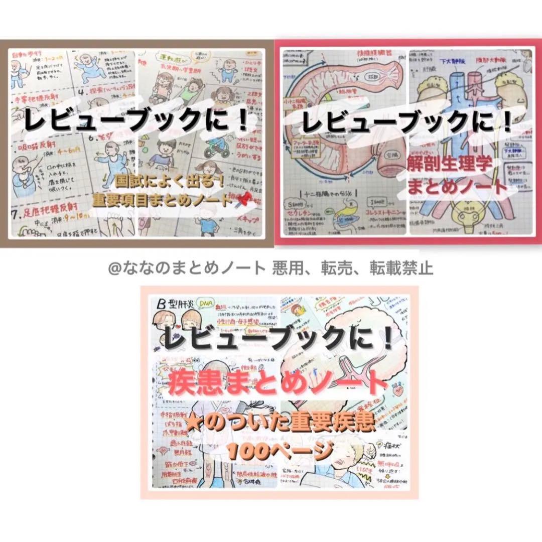 【A4サイズ】解剖生理+重要項目+頻出疾患まとめノート 3セット