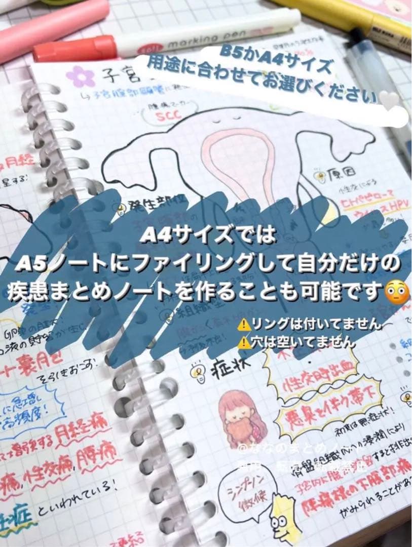 【A4サイズ】解剖生理+重要項目+頻出疾患まとめノート 3セット