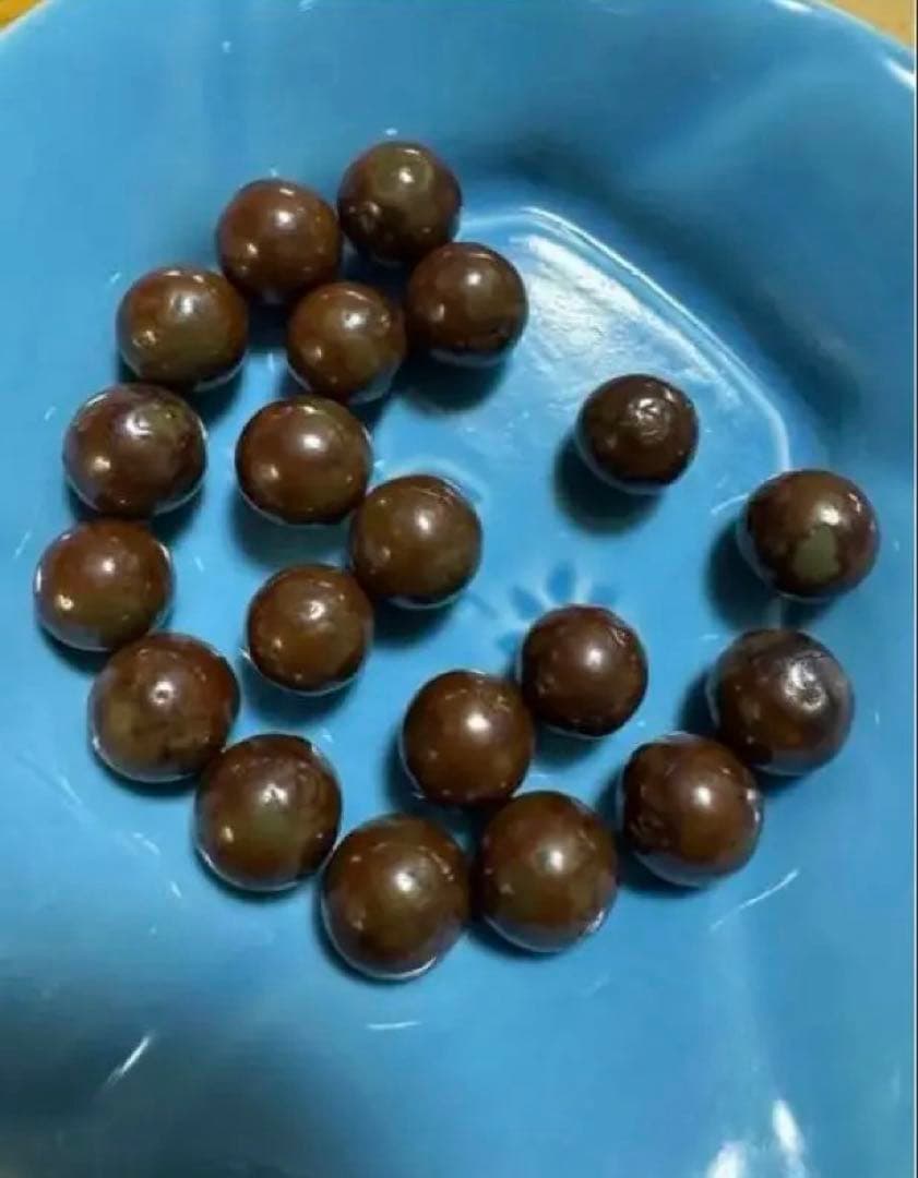 ワールドレップサービス　 アースボールグリーン20粒