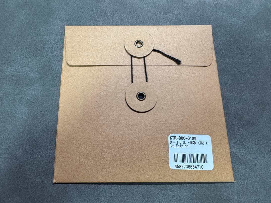 廻花　ターミナル 怪歌(再) Live Edition CD