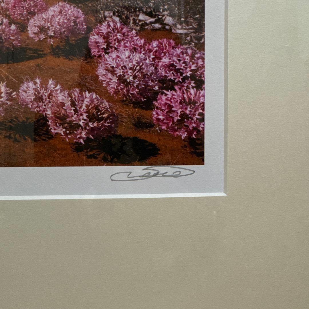 HABU 花の風景 61.5×74cm