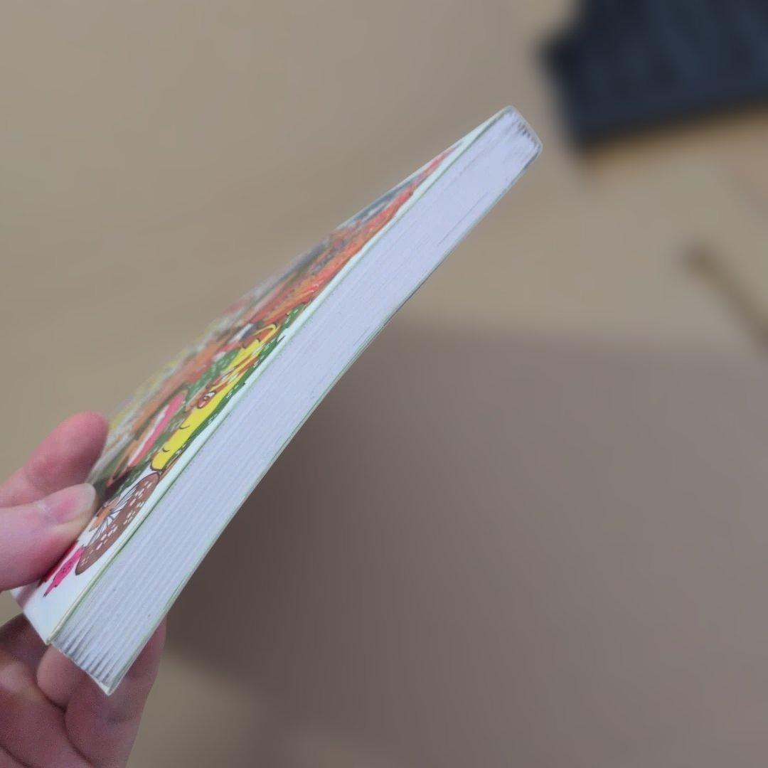 忍たま乱太郎　初版本　プリンセスデラックス　2冊　コミックスニュースつき