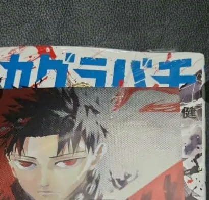 カグラバチ1巻～4巻特典付き(1巻初版ではありません　2巻～4巻初版) 帯付