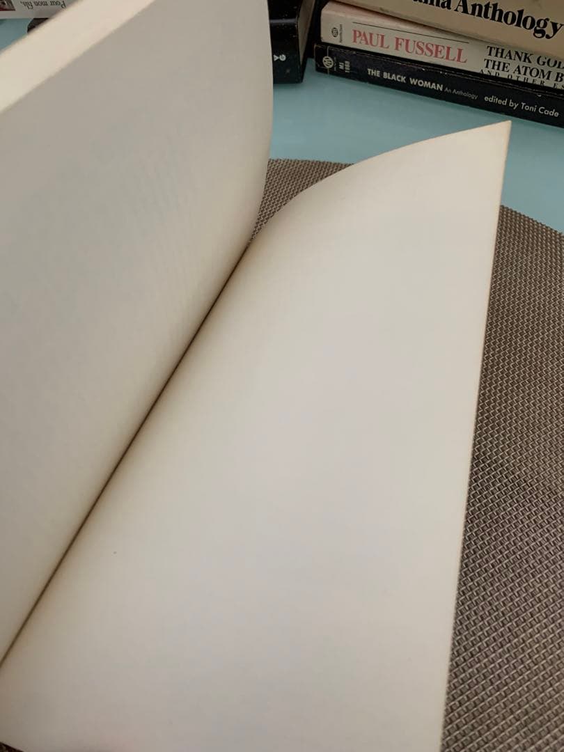 希少　Hiding Place by John Edgar Wideman