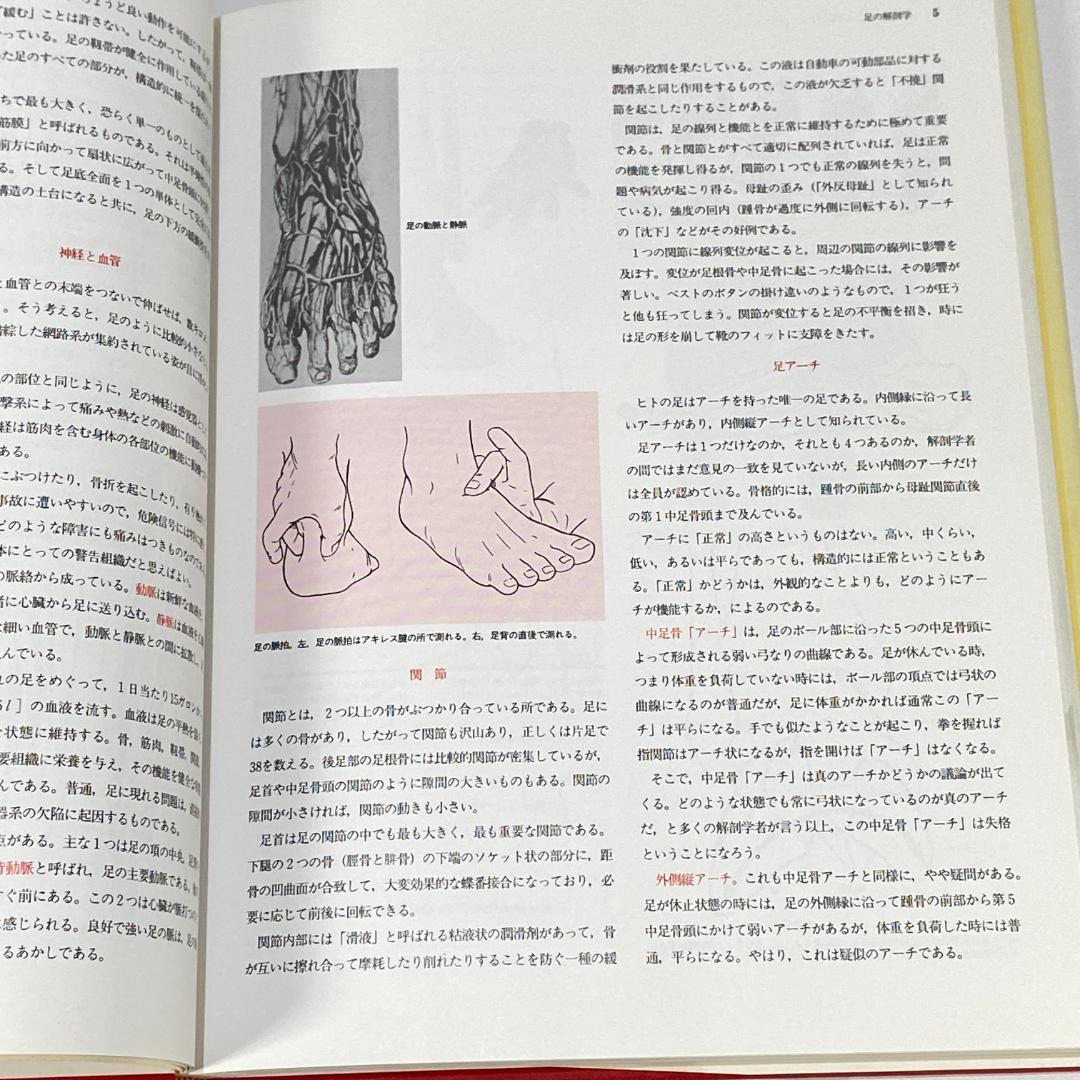 プロフェッショナルシューフィッティング　靴合わせのプロ