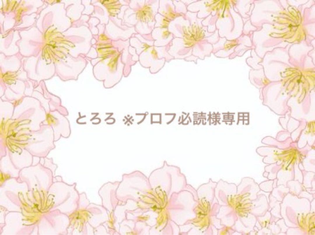 とろろ ※プロフ必読様⭐️クレイケーキ*クレイクリームケーキ*クラウン「月」