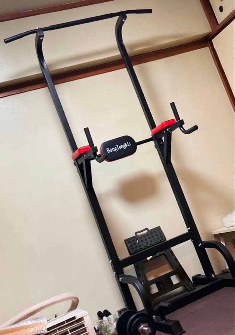 BangTongLi ぶら下がり健康器 多機能