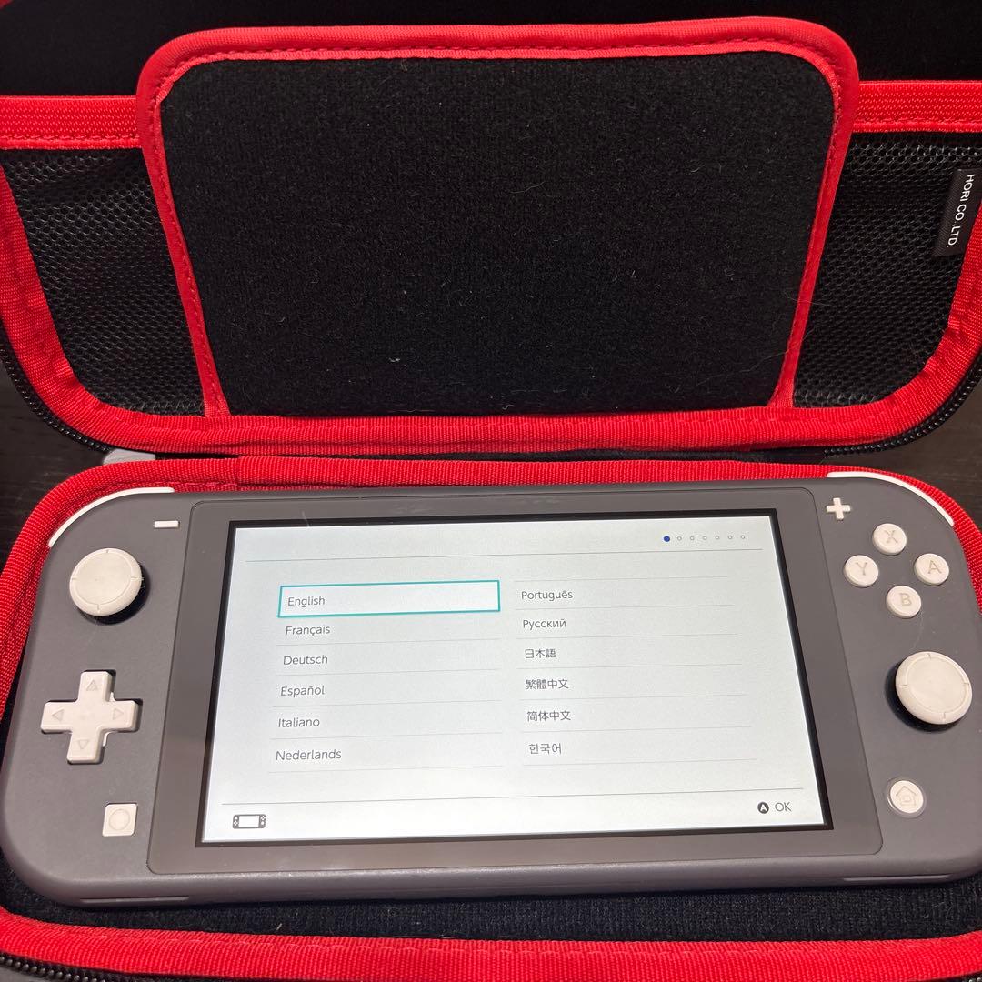 専用　Nintendo Switch Lite グレー　ケース付き
