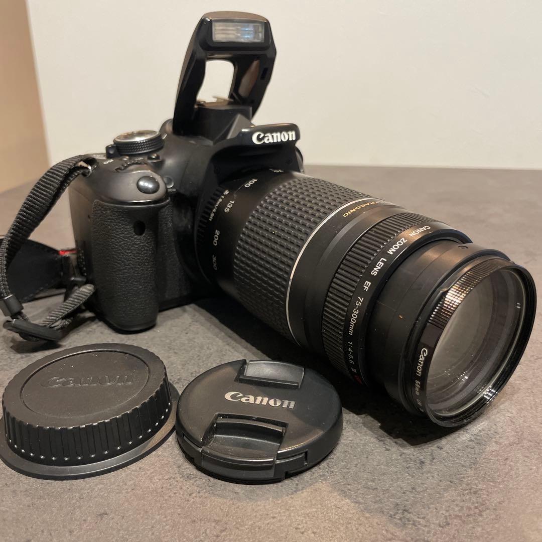 【美品】Canon 望遠レンズ EF75-300mm F4-5.6 III