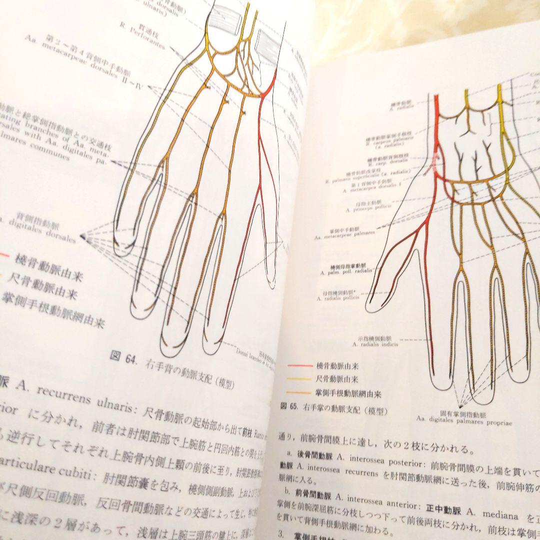 お値下げ！分担　解剖学123　３冊セット　医学本　専門書
