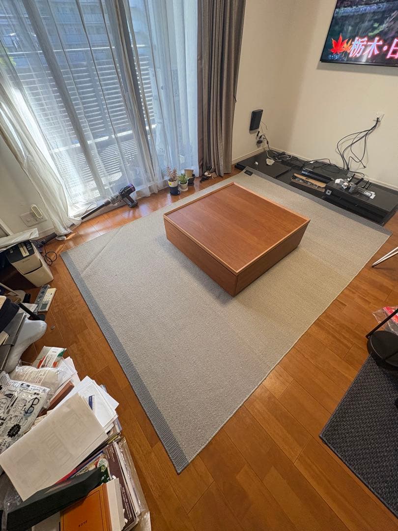 ACTUS アクタス FABULA Livingラグマット 170x240cm