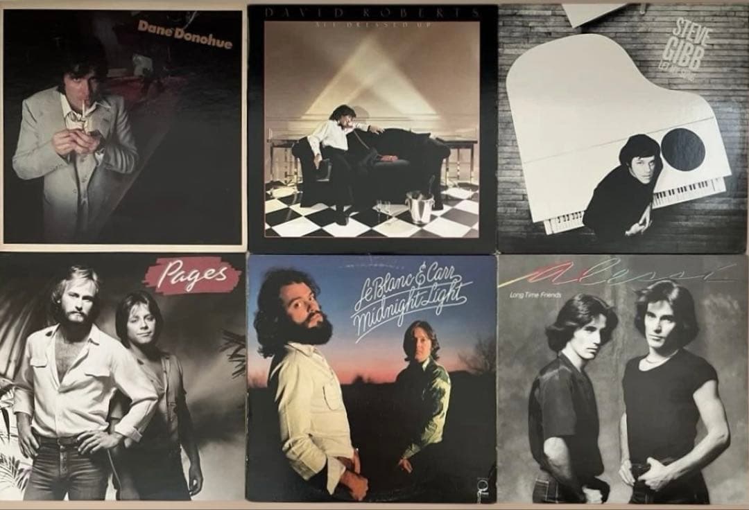 AOR LP6枚 ディンドナヒュー デビッドロバーツ ペイジス スティーブギブ他