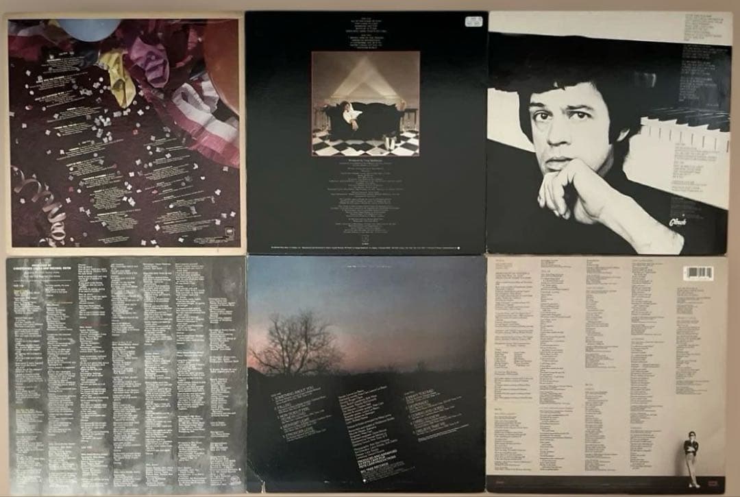 AOR LP6枚 ディンドナヒュー デビッドロバーツ ペイジス スティーブギブ他