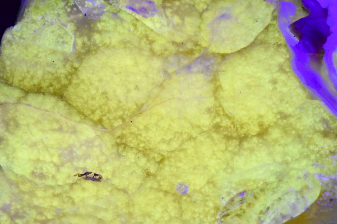 ★北海道然別湖産 北海道石(オパール)選別品