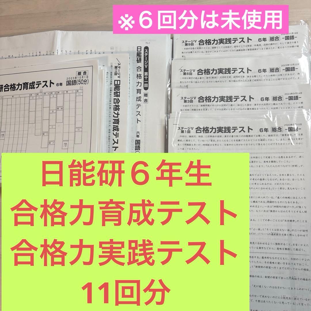 日能研6年　合格力育成テスト　合格力実践テスト　11回分　未使用含む
