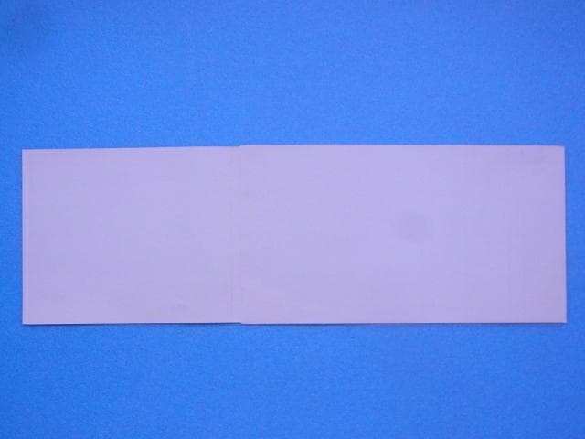 非売品　ウィザードリィ リルガミンサーガ　プレイステーション　ダミージャケット