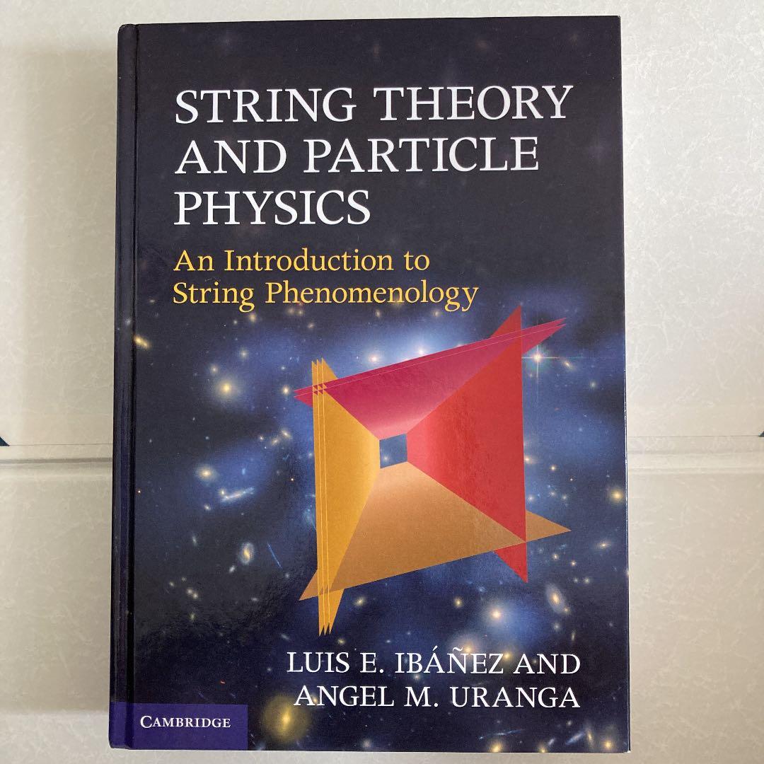 洋書 String Theory and Particle Physics