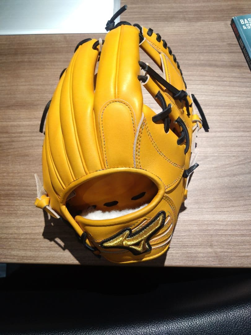 Mizuno Pro 硬式オーダーグローブ