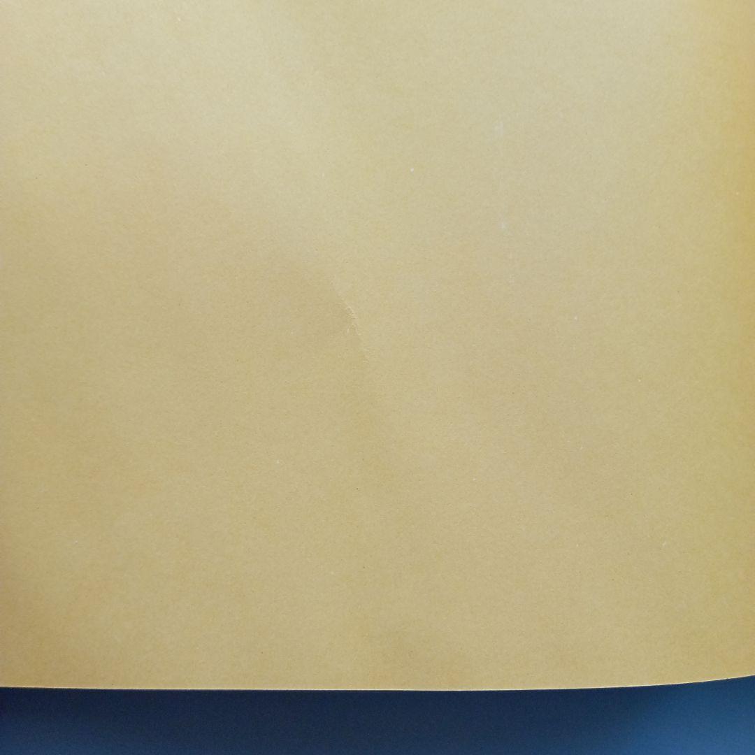 【匿名配送】Emma's Pet　デイビット・M・マクファイル　絵本　洋書　英語