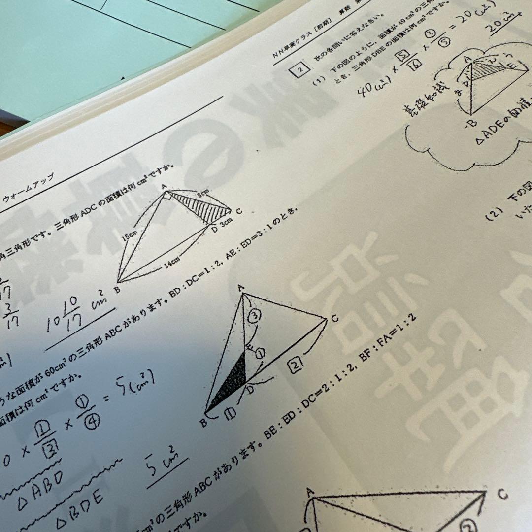 NN早実【前期】【夏期集中特訓】2024年度