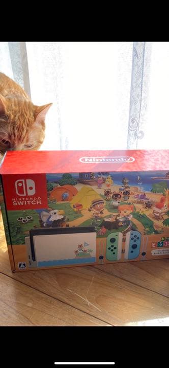任天堂switchあつまれどうぶつの森セット