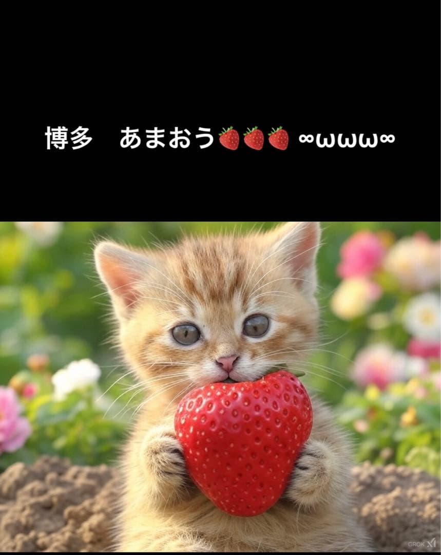 大きい足半指トレ指ヨガ ブレード足ツボゴリゴリ刺激　芯あり柿渋草木染M 〜LL