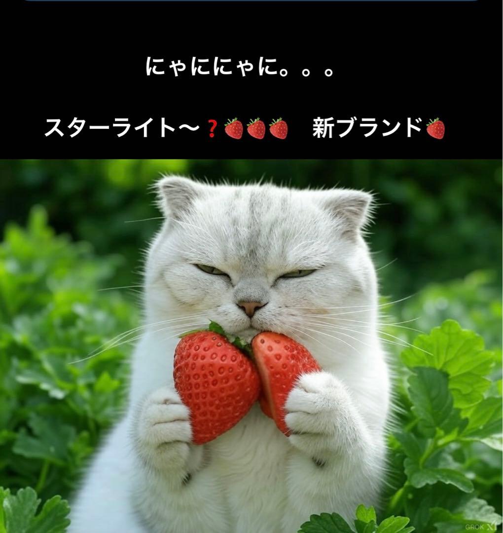 大きい足半指トレ指ヨガ ブレード足ツボゴリゴリ刺激　芯あり柿渋草木染M 〜LL