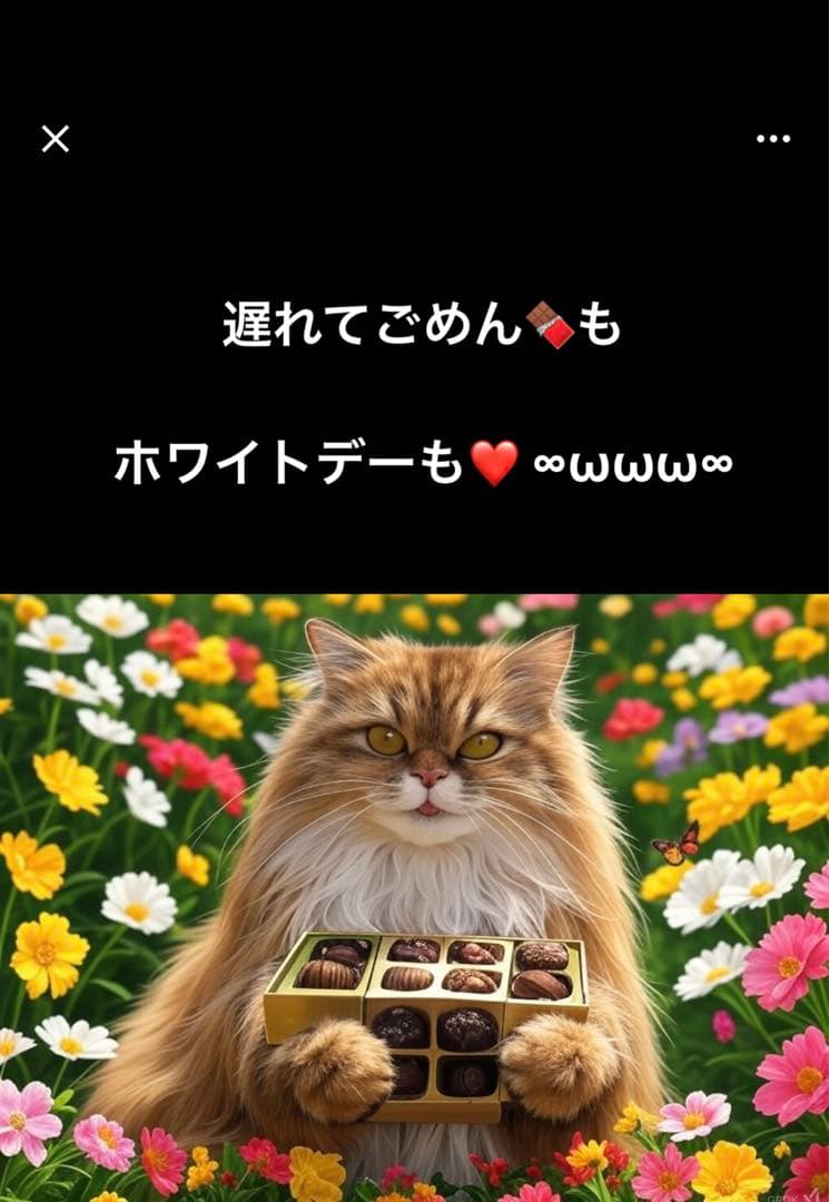 大きい足半指トレ指ヨガ ブレード足ツボゴリゴリ刺激　芯あり柿渋草木染M 〜LL