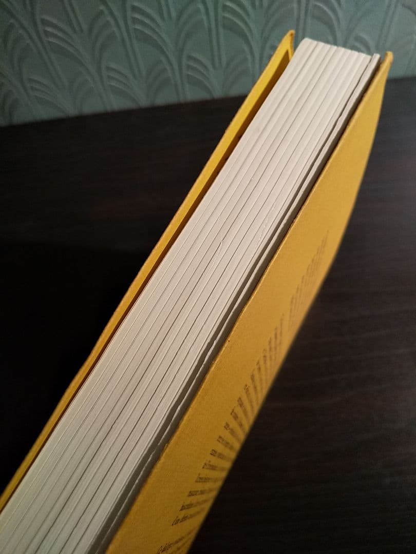 〈洋書〉現象学におけるフッサール解釈の研究 ／ルドルフ・バーネット 著