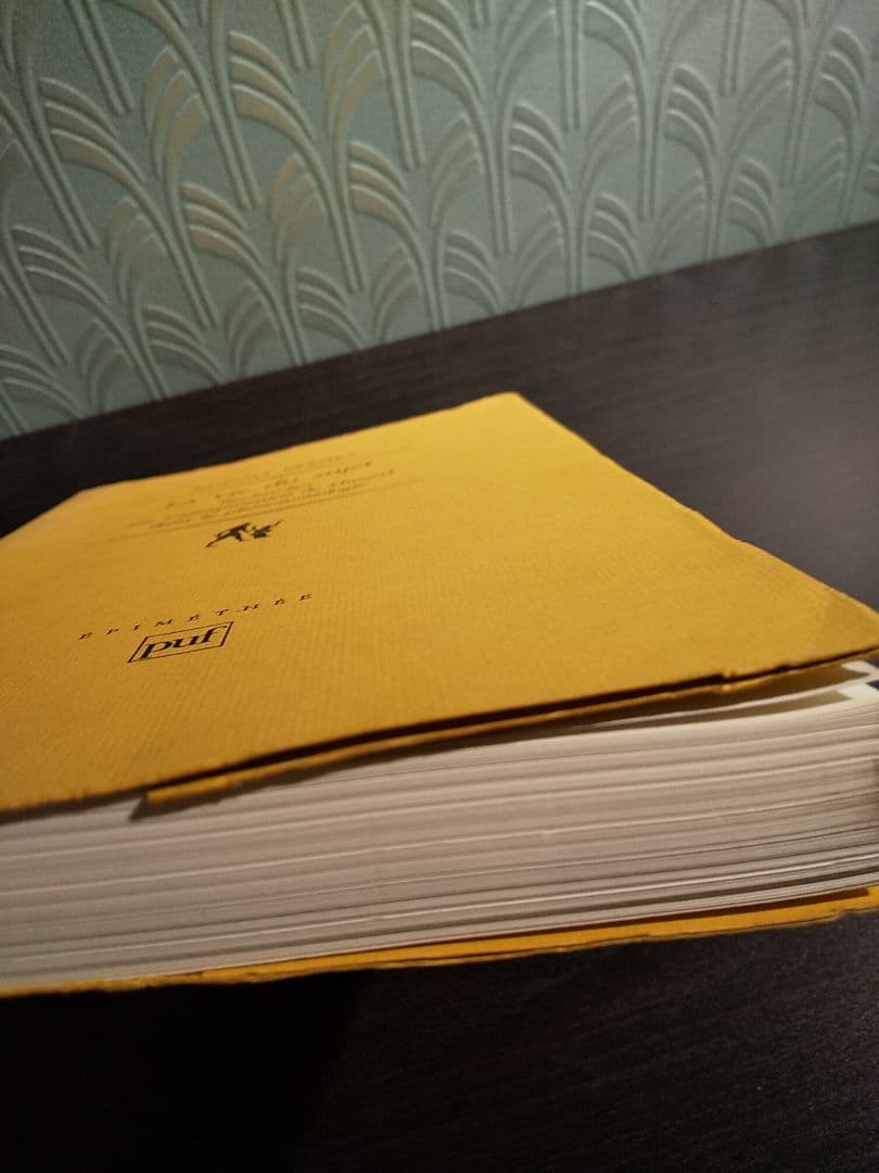 〈洋書〉現象学におけるフッサール解釈の研究 ／ルドルフ・バーネット 著