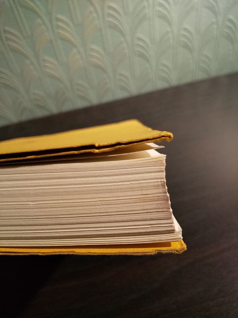 〈洋書〉現象学におけるフッサール解釈の研究 ／ルドルフ・バーネット 著