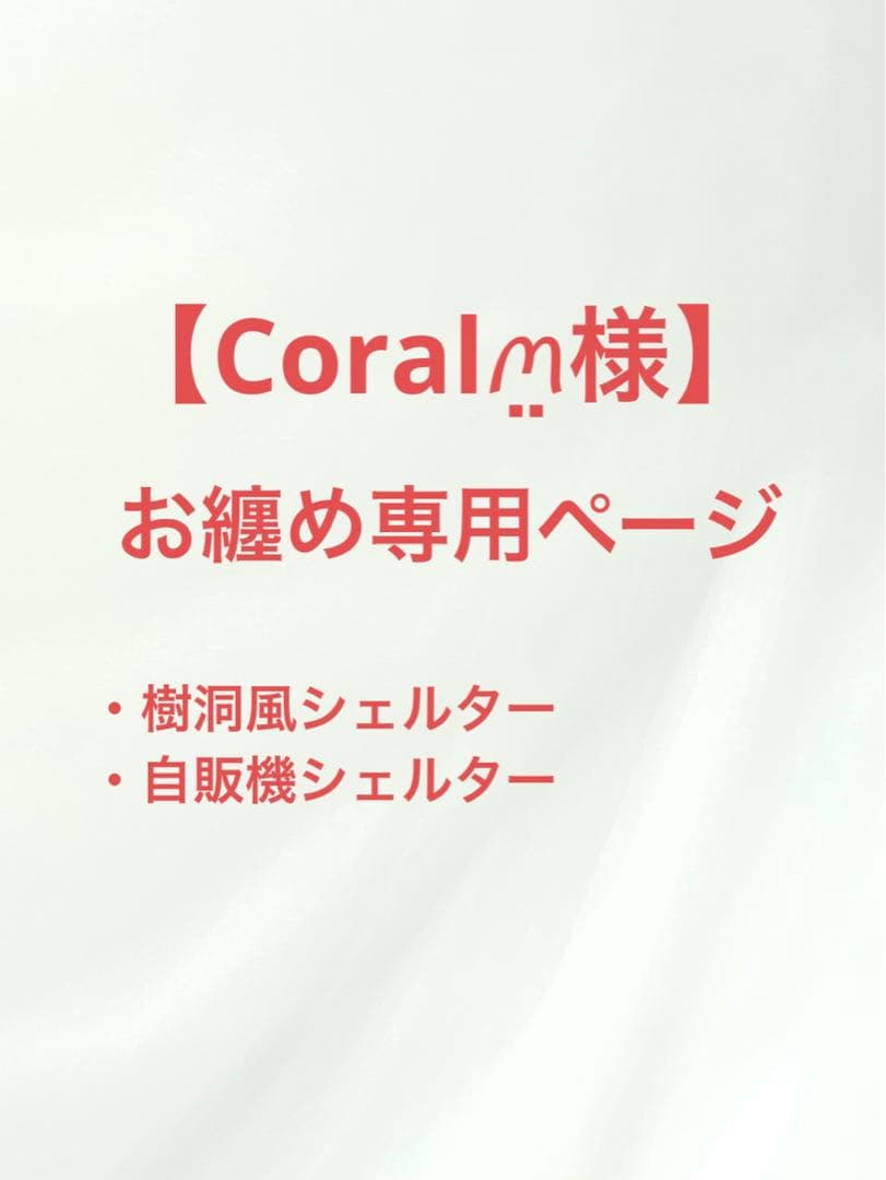 Coral‪ꪔ̤̫様 お纏め専用ページ