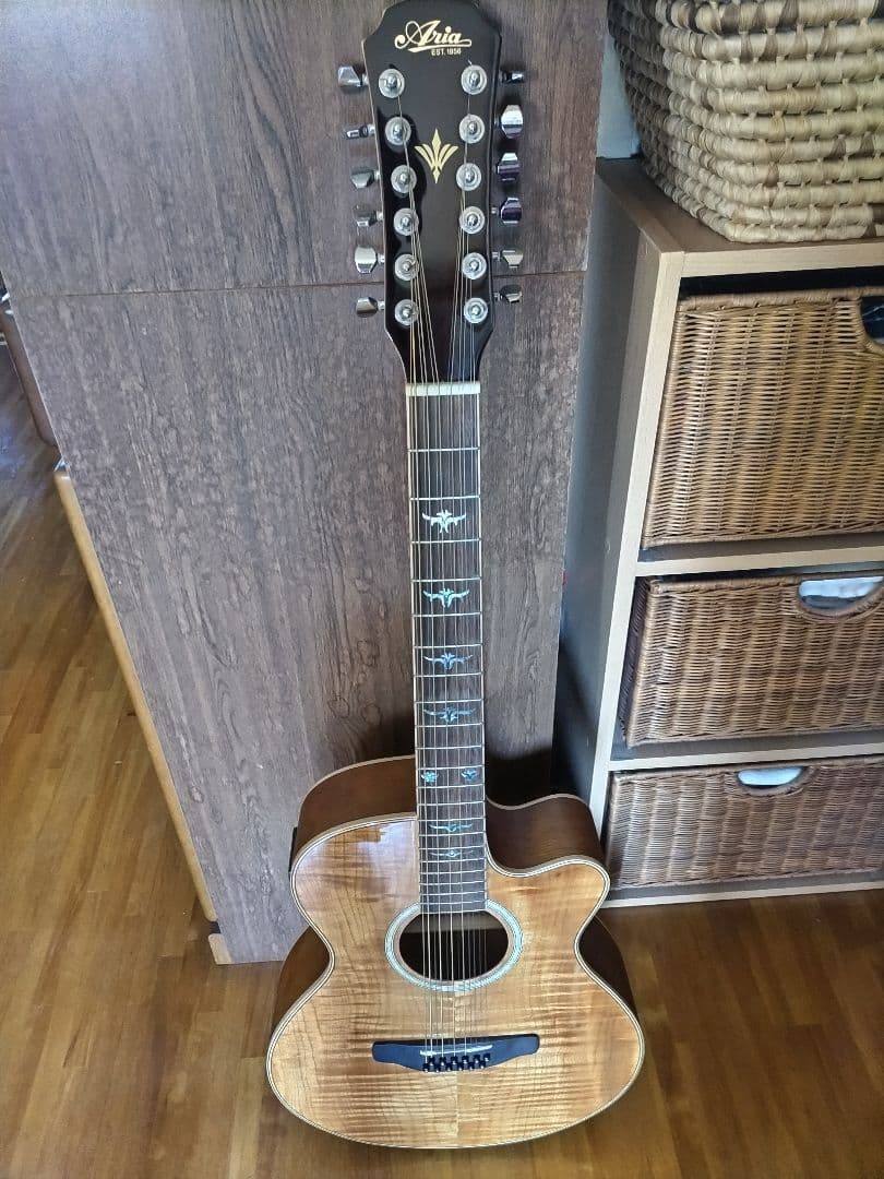 Aria 12弦エレアコ　FET-12-SPL N