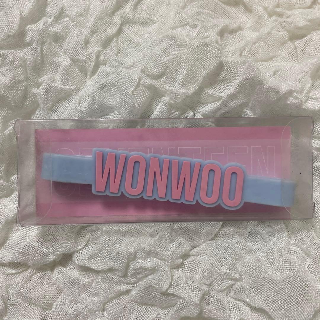 SEVENTEEN ペンライト　アクセサリー ウォヌ　WONWOO おまけ付き