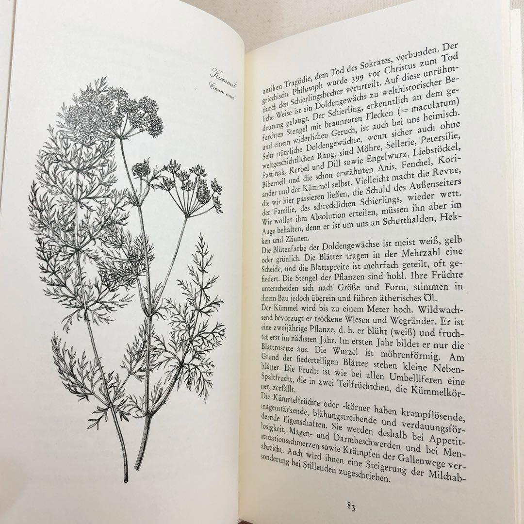 美しい植物画 ドイツ 洋書 図鑑 1963 Elsa Flesko Blumen