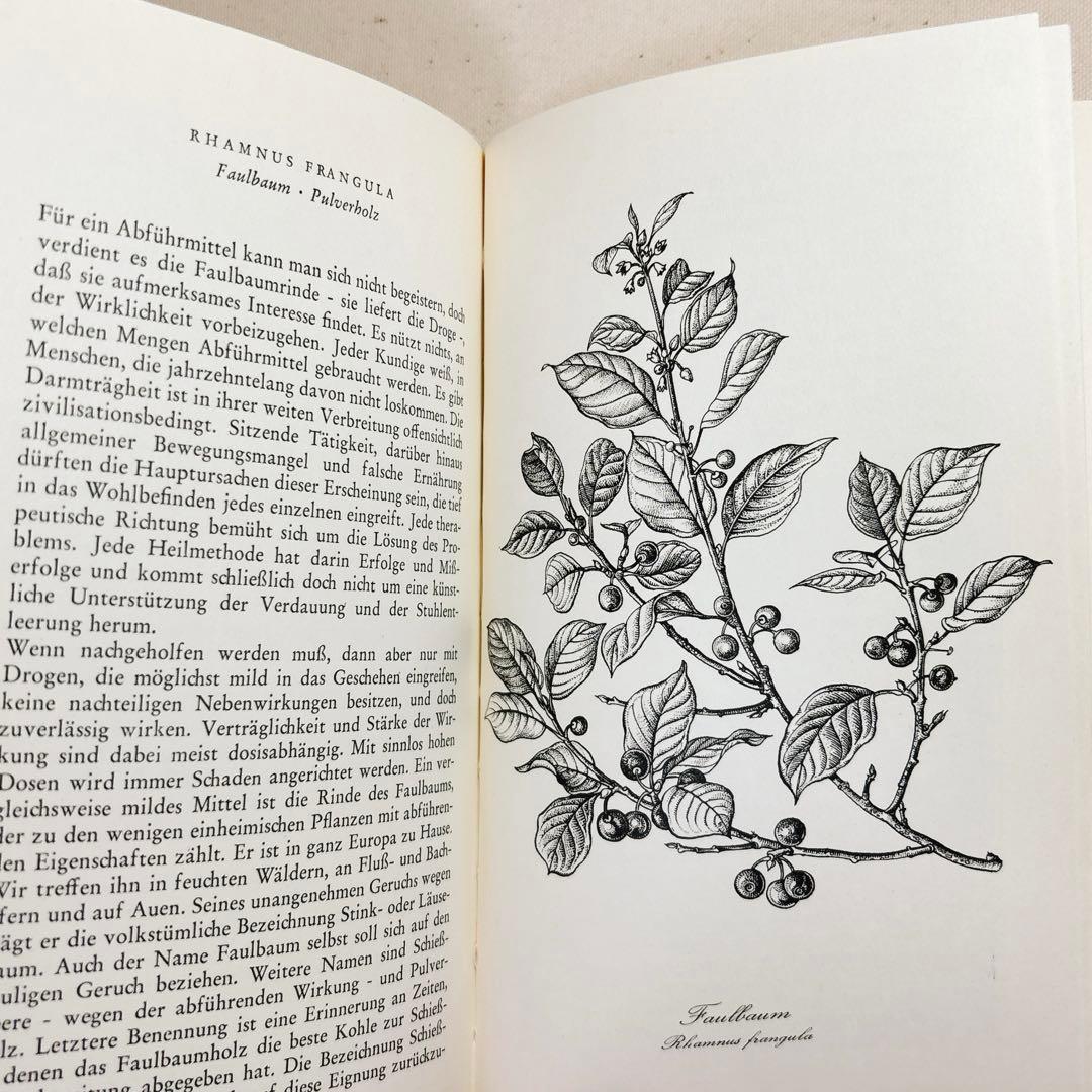 美しい植物画 ドイツ 洋書 図鑑 1963 Elsa Flesko Blumen