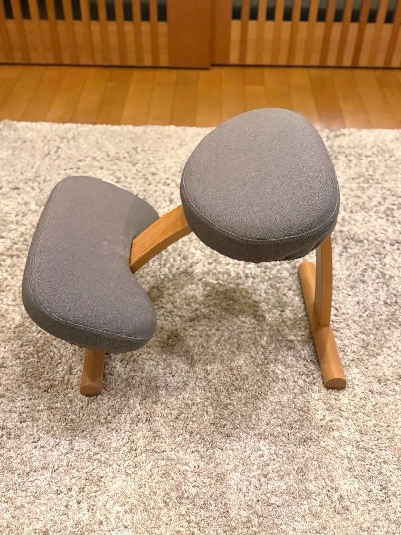 【美品】サカモトハウス バランスチェア イージー ネイビー バランスラボ 椅子