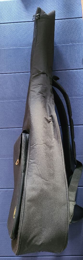 アコースティックギター HEX F100 M ケース付き 美品