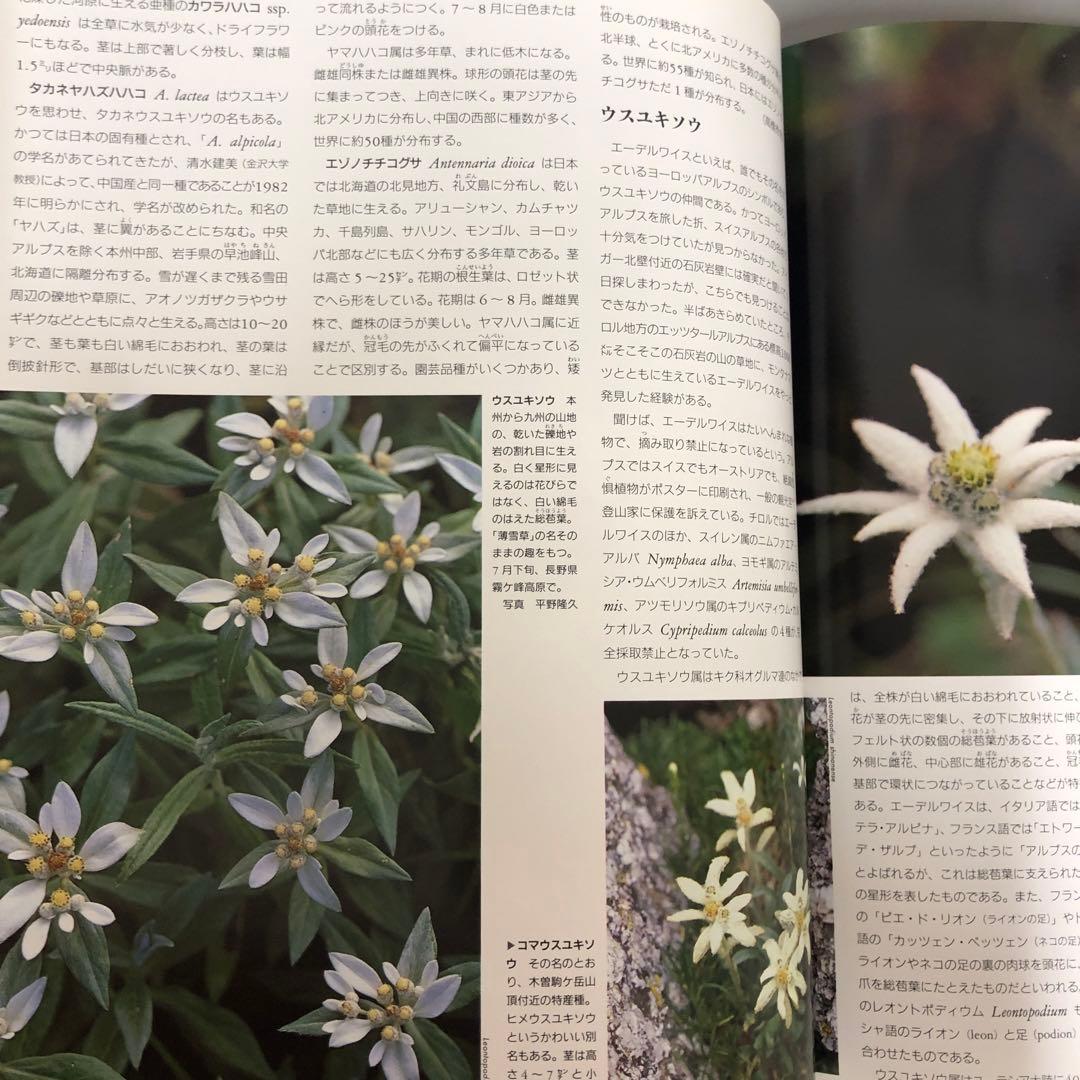 【中古本】植物の世界 全15巻セット