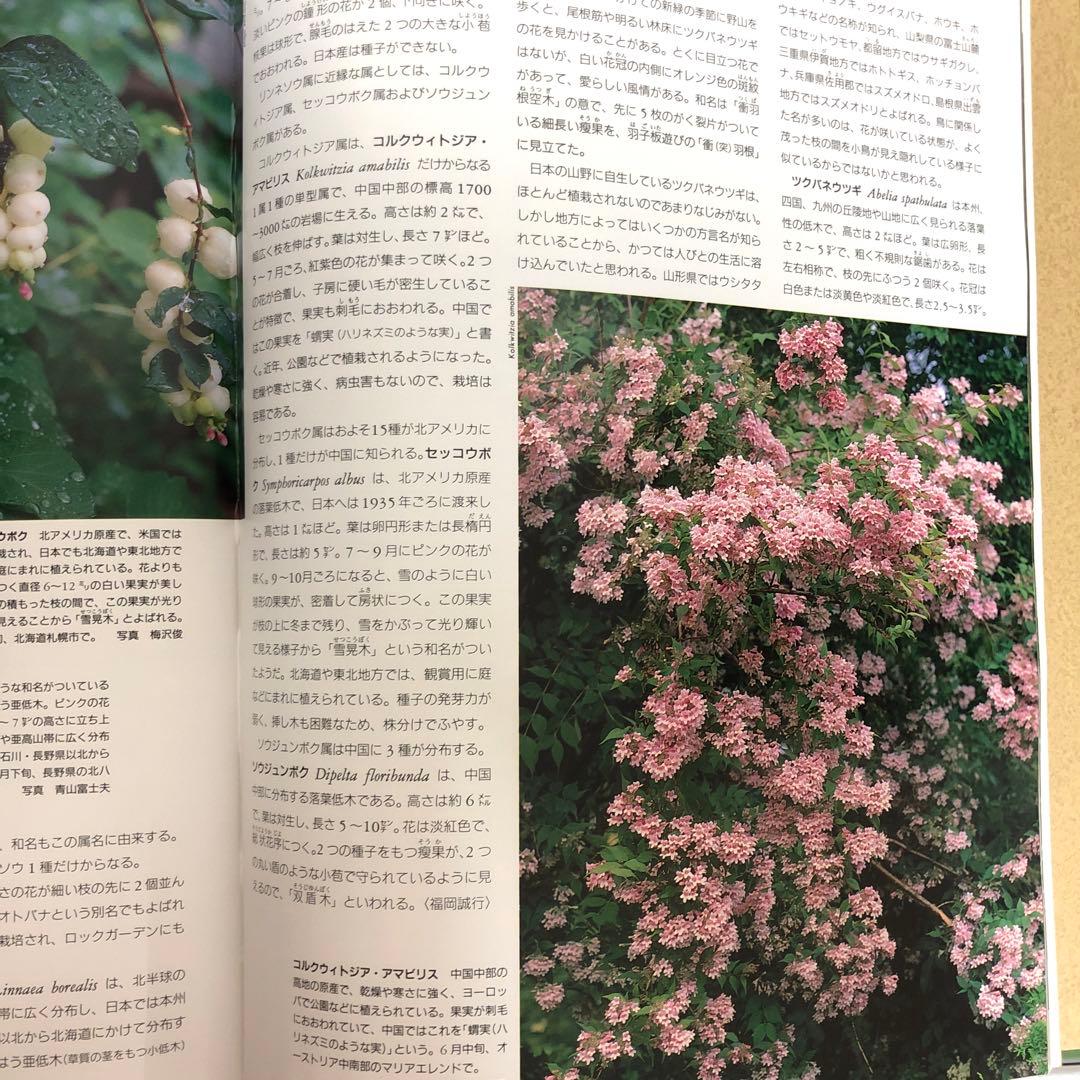 【中古本】植物の世界 全15巻セット